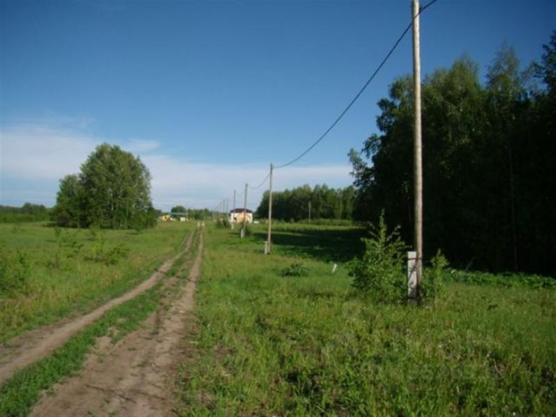 Земельный участок, Томская область, с. Зоркальцево. Фото 1