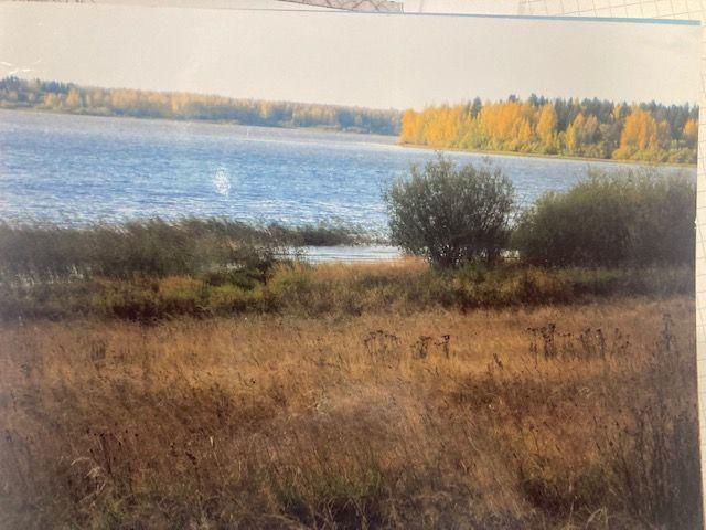 Земельный участок, Вологодская область, дер. Даргун. Фото 1