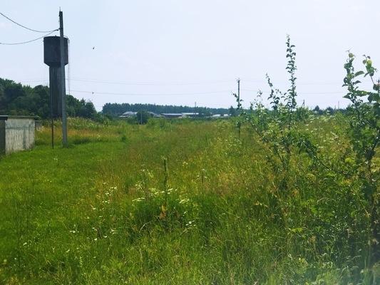Земельный участок, Тульская область, дер. Белугино. Фото 1