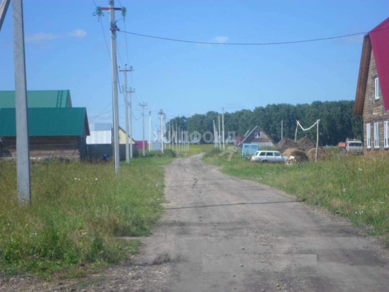 Земельный участок, Новосибирская область, с. Новотырышкино, Краснореченская улица. Фото 1