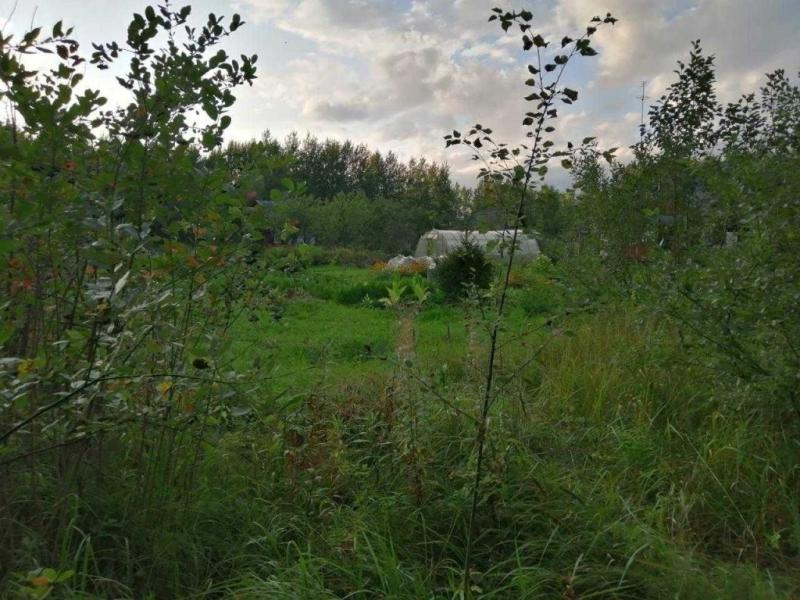 Земельный участок, Ивановская область, дер. Филиковка. Фото 1