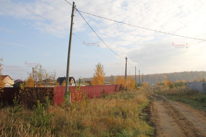 Земельный участок, Свердловская область, с. Малобрусянское, Сосновая улица. Фото 1