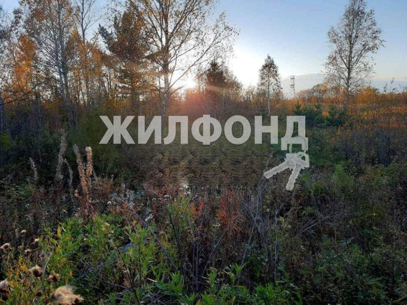 Земельный участок, 25 сот.