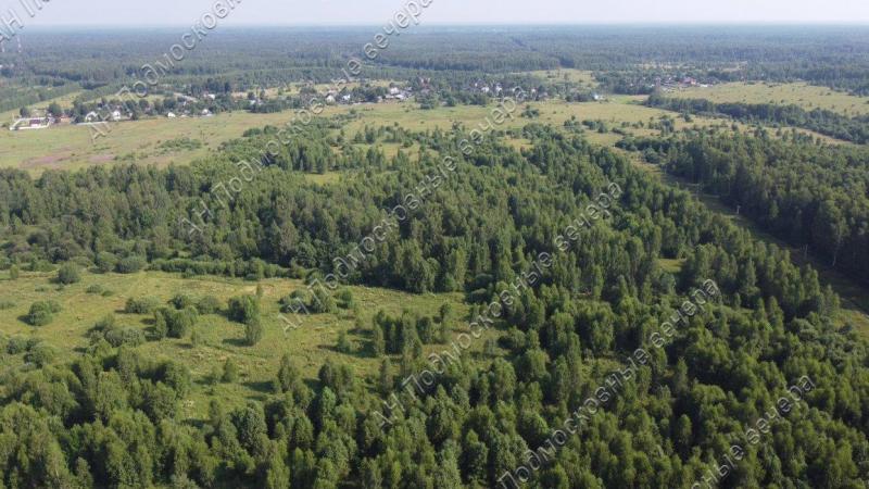 Земельный участок, Московская область, дер. Жестоки. Фото 1