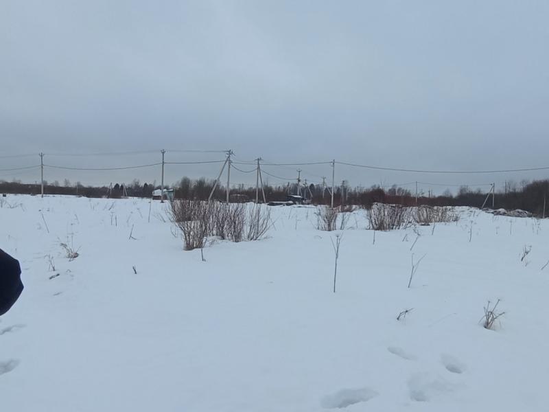 Земельный участок, Ленинградская область, Отрадное. Фото 1