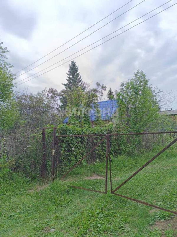 Земельный участок, Новосибирская область, садовое товарищество Сигнал. Фото 1