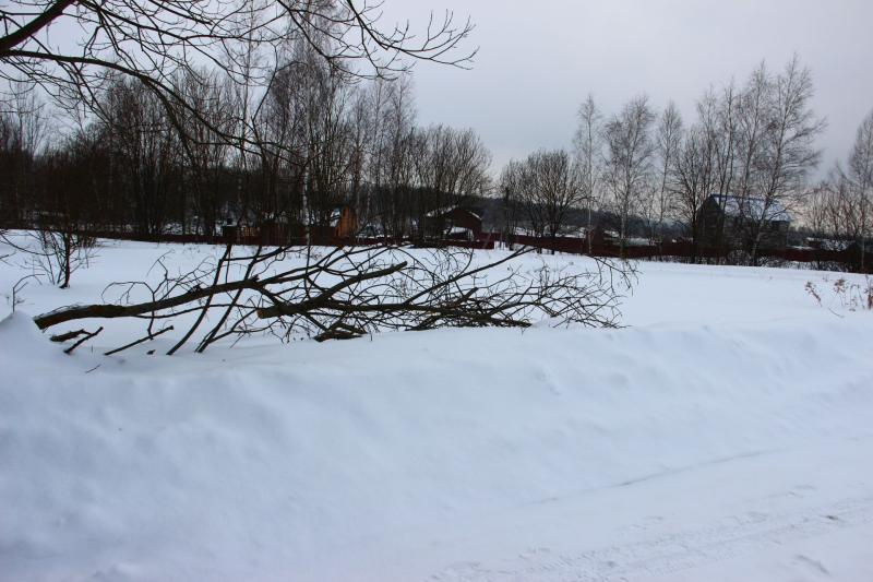 Земельный участок, Тульская область, пос. Шеверняево, Южная улица. Фото 1