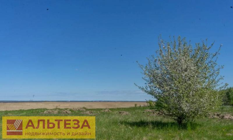 Земельный участок, Калининградская область, Ладушкин. Фото 1
