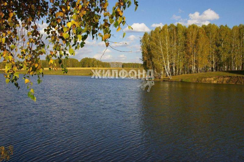 Земельный участок, Новосибирская область, рп. Посевная. Фото 1