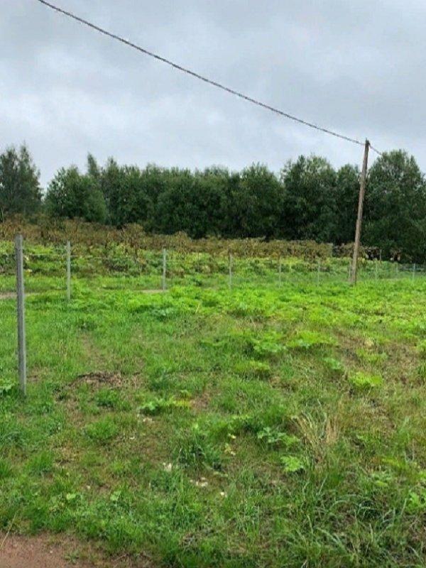 Купить Землю В Поселке