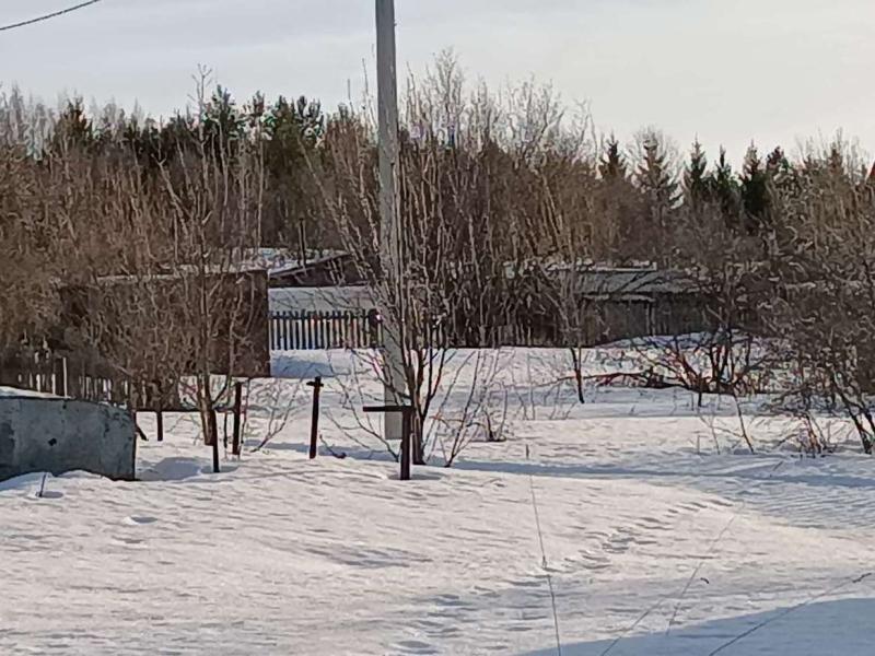 Земельный участок, Кировская область, садовое товарищество Ветеран. Фото 1