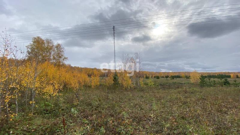Земельный участок, Челябинская область, Чебаркуль. Фото 1