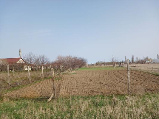 Земельный участок, Республика Крым, с. Зыбины. Фото 1
