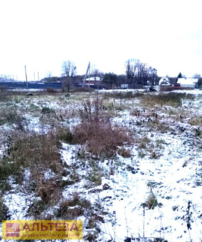 Земельный участок, Калининградская область, пос. Петрово. Фото 1