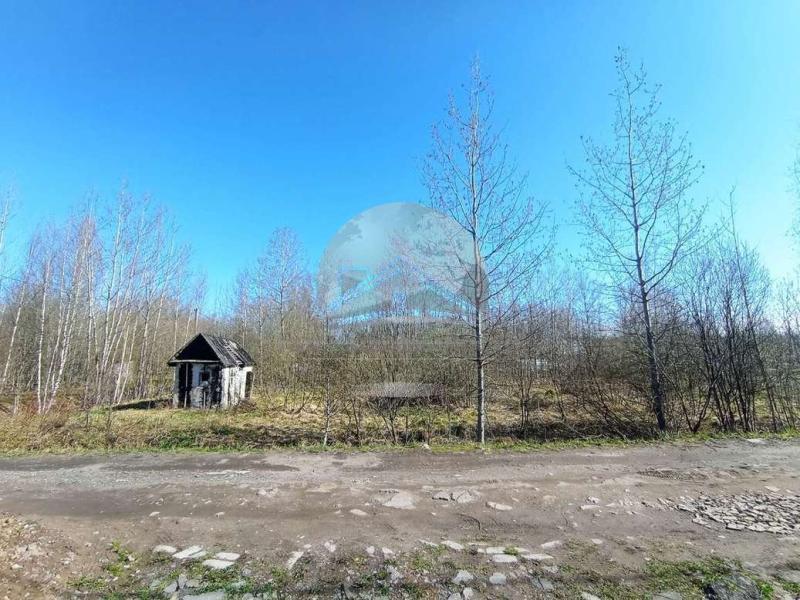 Земельный участок, Новгородская область, садоводческий массив № 3. Фото 1