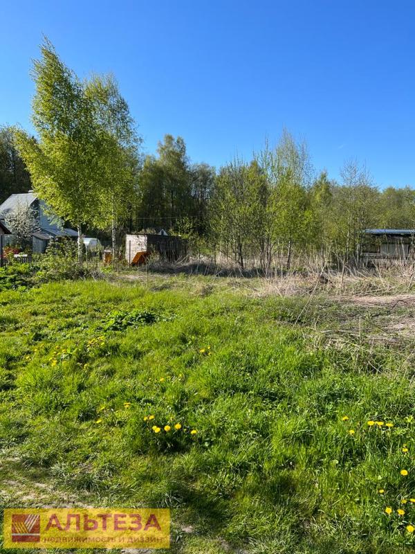 Земельный участок, Калининградская область, садовое товарищество Ранет. Фото 1