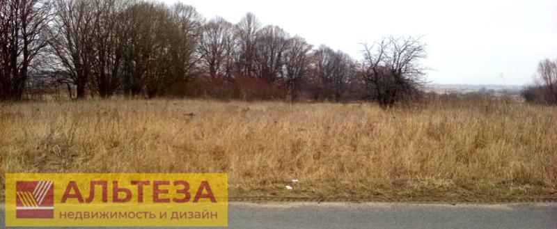 Земельный участок, Калининградская область, пос Прислово. Фото 1