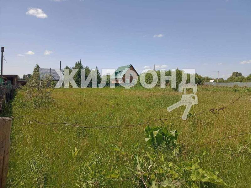Земельный участок, Новосибирская область, рп. Колывань. Фото 1