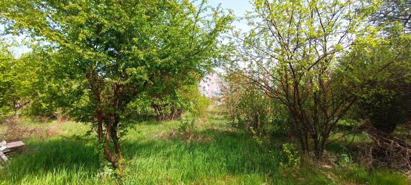 Земельный участок, Ростовская область, СНТ Весна. Фото 1