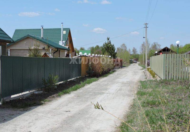 Земельный участок, Новосибирская область, СНТ Автомобилист. Фото 1