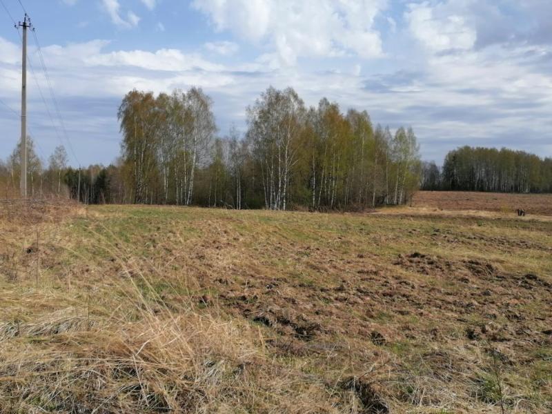 Земельный участок, Костромская область, дер. Коркино. Фото 1