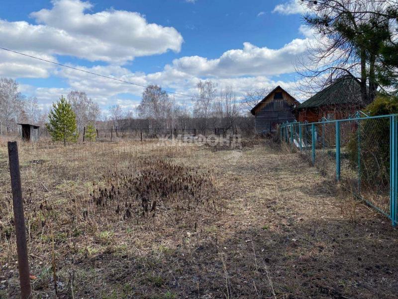 Земельный участок, Новосибирская область, садовое товарищество Театрал-2. Фото 1