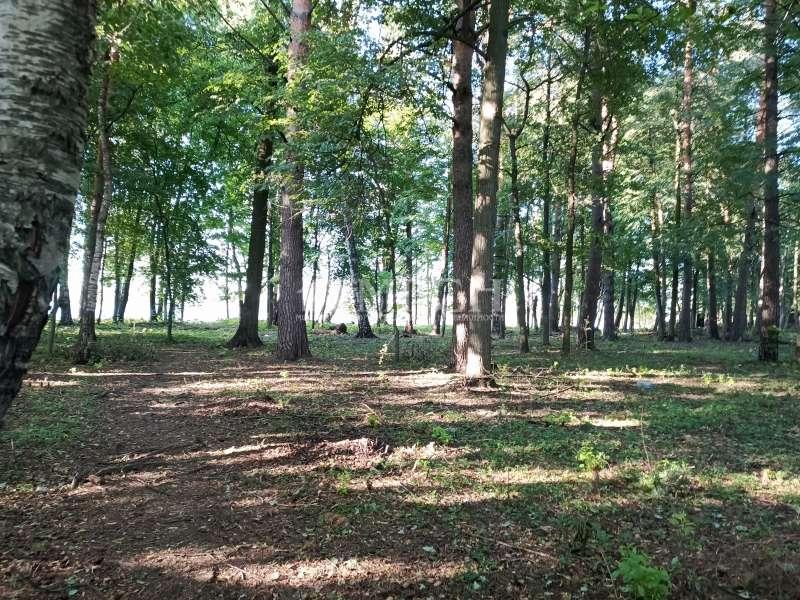 Земельный участок, 60 сот., ИЖС