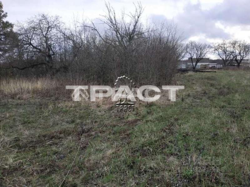 Погода ивницы рамонского. Деревня ивницы воронеж. Погода ивницы рамонского. Рамонь ивницы. Река воронеж сенное.