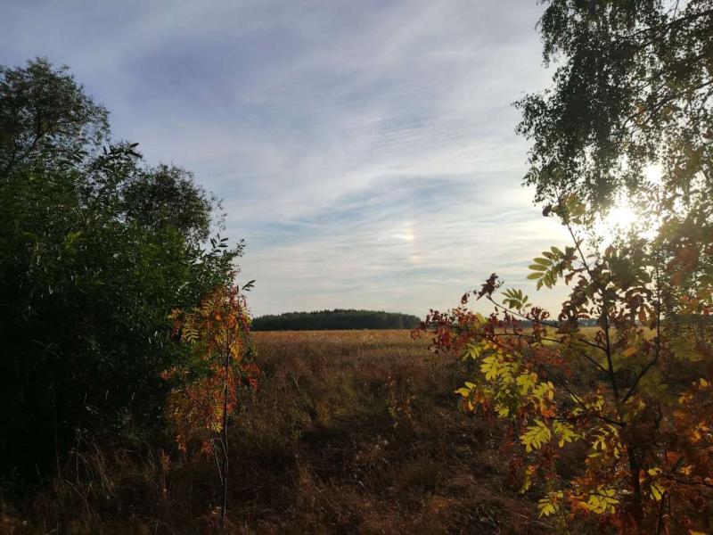 Земельный участок, 20 сот., ИЖС