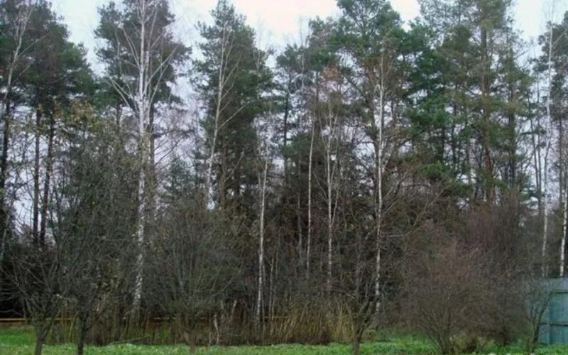 Земельный участок, 17.73 га.