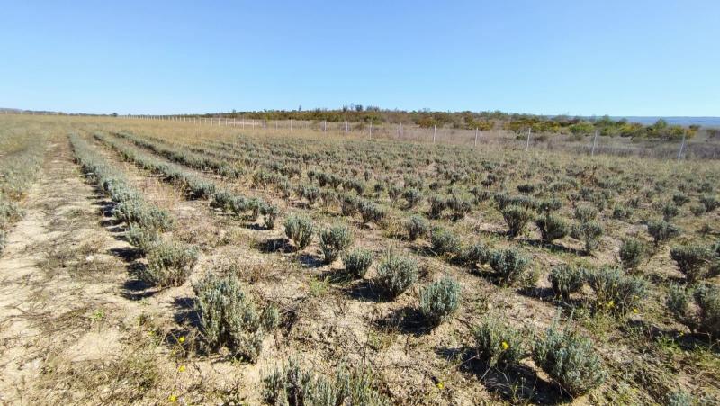 Земельный участок, 1.2 га.