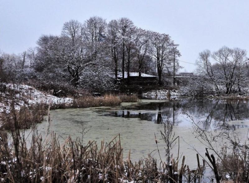 Земельный участок, 90 сот.