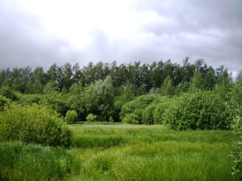 Земельный участок, 20 сот.