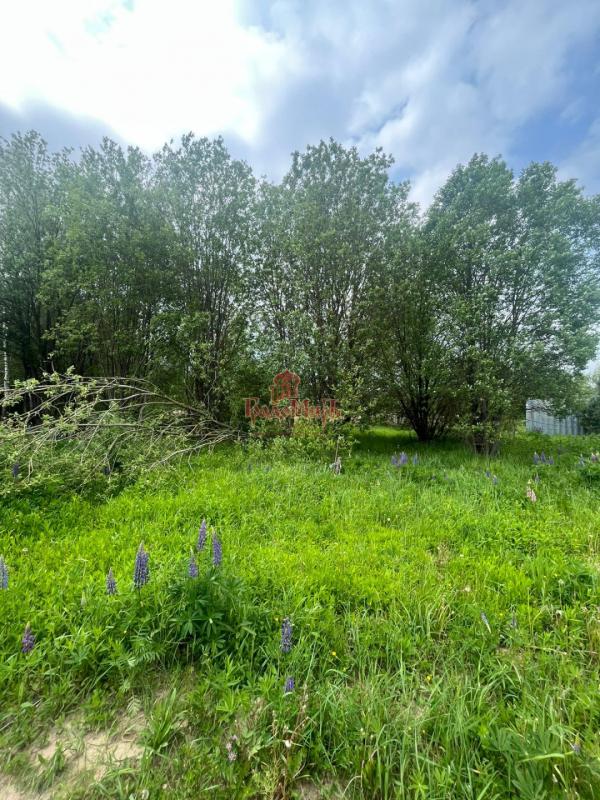 Земельный участок, 20 сот., ИЖС