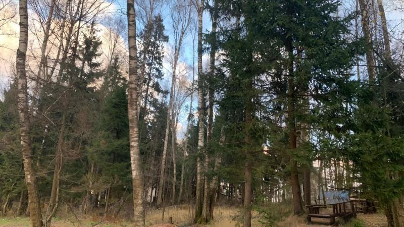 Земельный участок, 4.05 га.