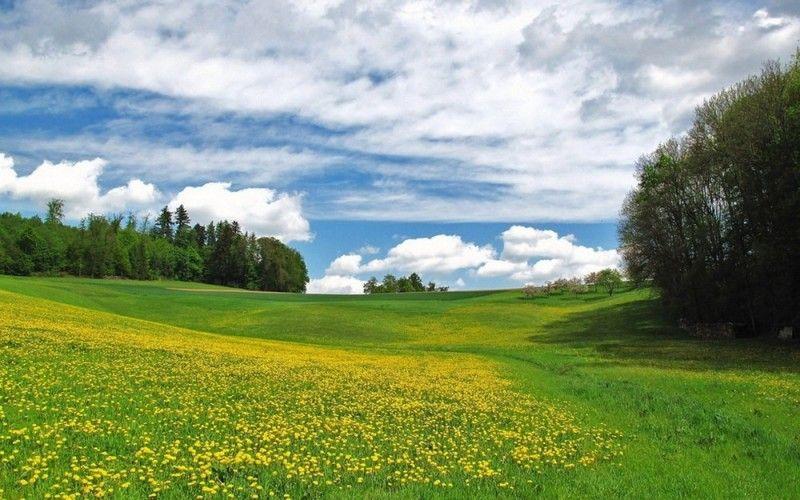 Земельный участок, 6 га.