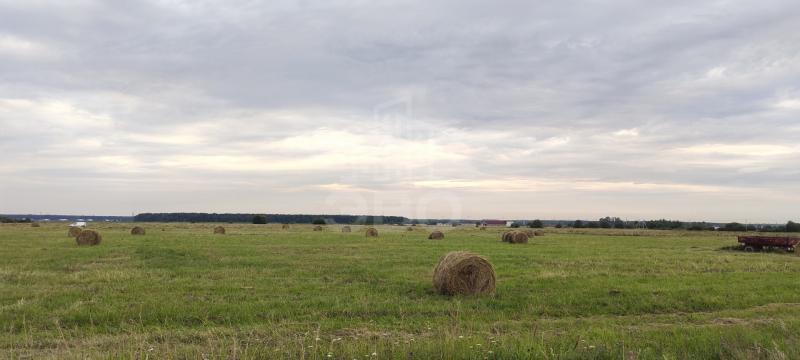 Земельный участок, 1.5 га.