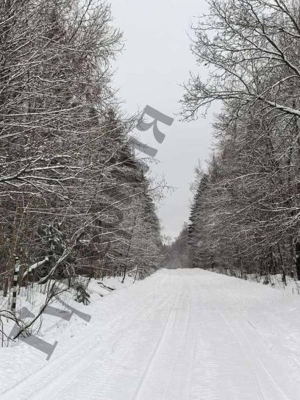 Земельный участок, 8 сот.