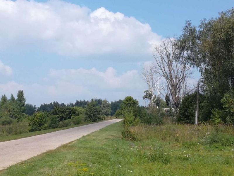 Земельный участок, 39 сот., ИЖС