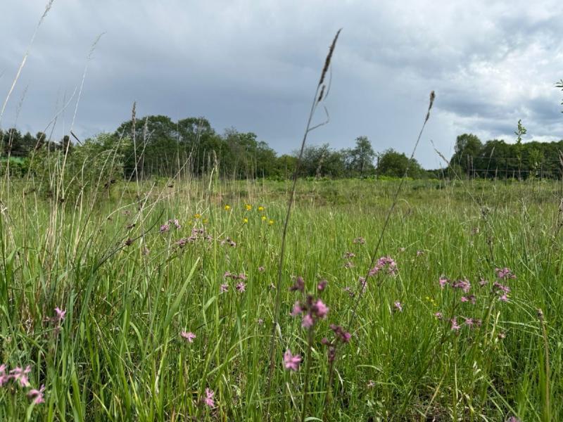 Земельный участок, 66 сот.