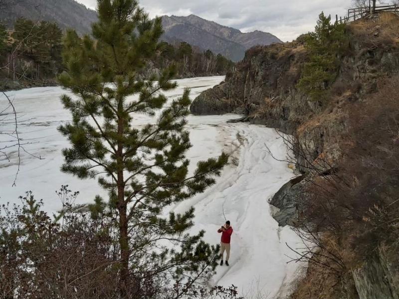 Земельный участок, 17.7 сот., Садоводство