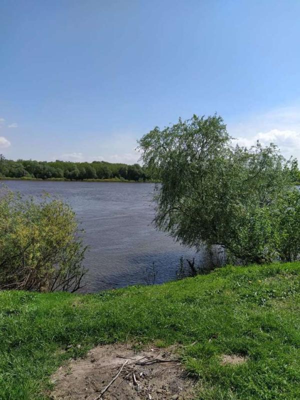 Земельный участок, 20 сот., ИЖС