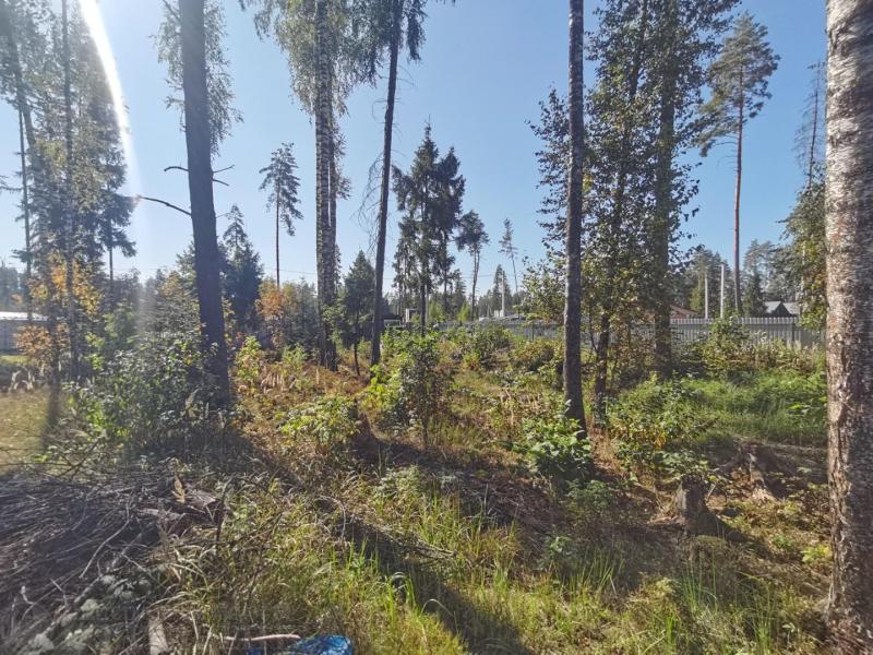 Земельный участок, 8 сот., Садоводство