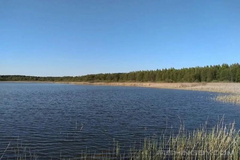 Земельный участок, 14.5 сот.