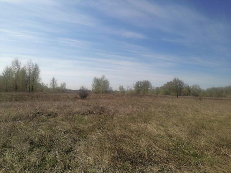 Земельный участок, 3.8 га.