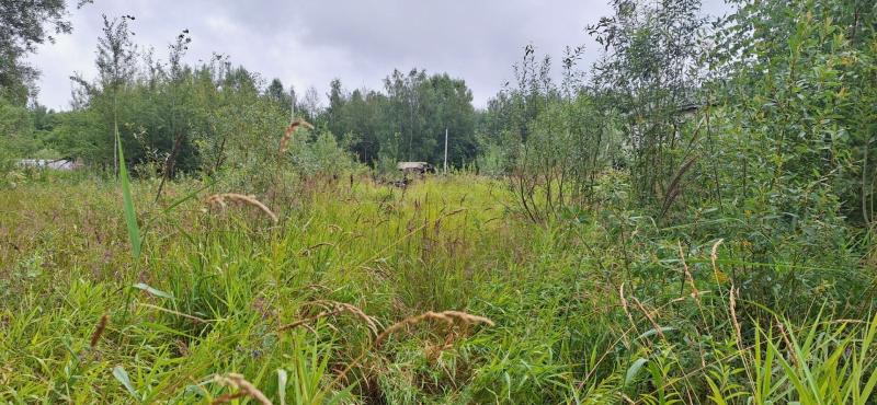 Земельный участок, 29.8 сот.