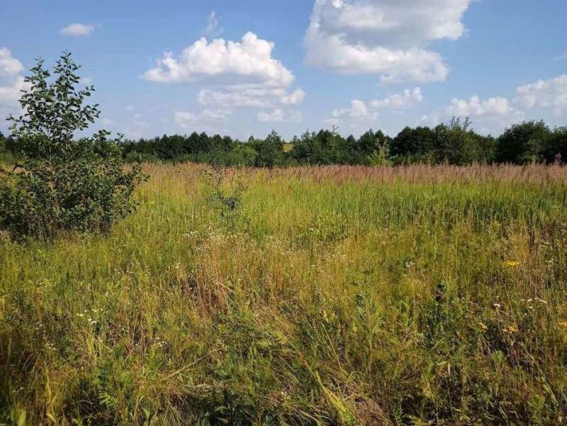 Земельный участок, 15 сот., ИЖС