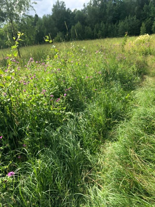 Земельный участок, 6 сот., Садоводство