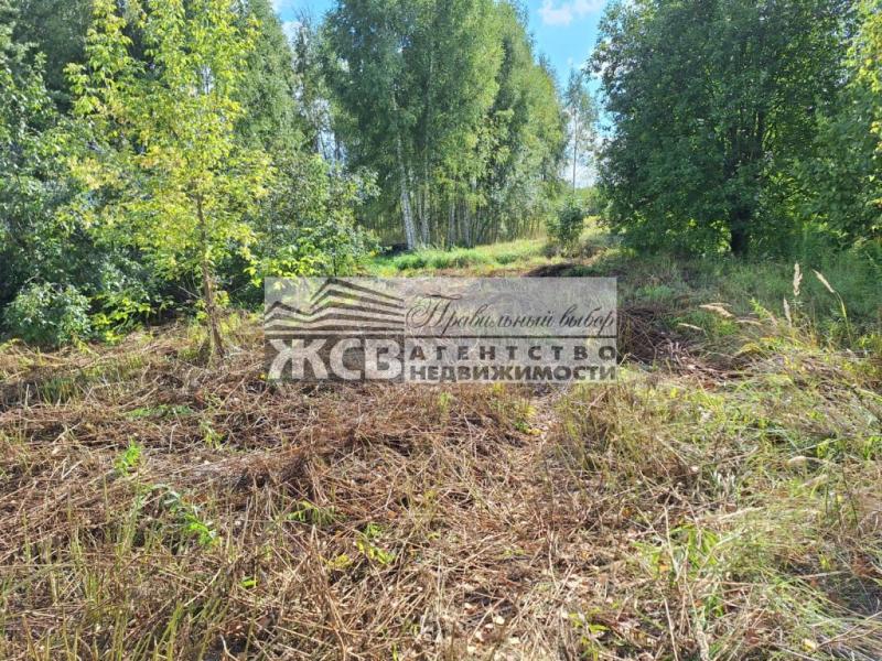 Земельный участок, 10.31 га., ИЖС