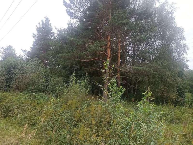 Земельный участок, 7 сот., ИЖС